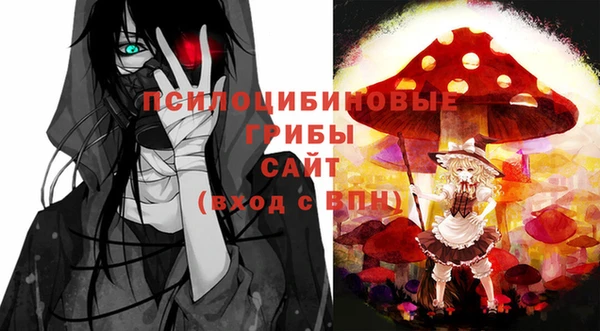 a pvp Алексин