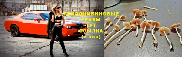 a pvp Алексин