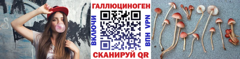 Купить где  Нальчик  Галлюциногенные грибы мицелий 